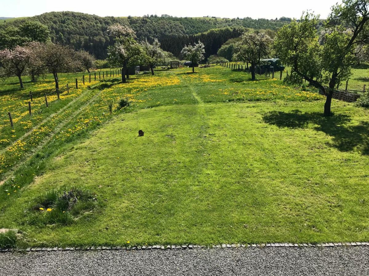 Ferienhaus Am Nationalpark Morsbach  Esterno foto